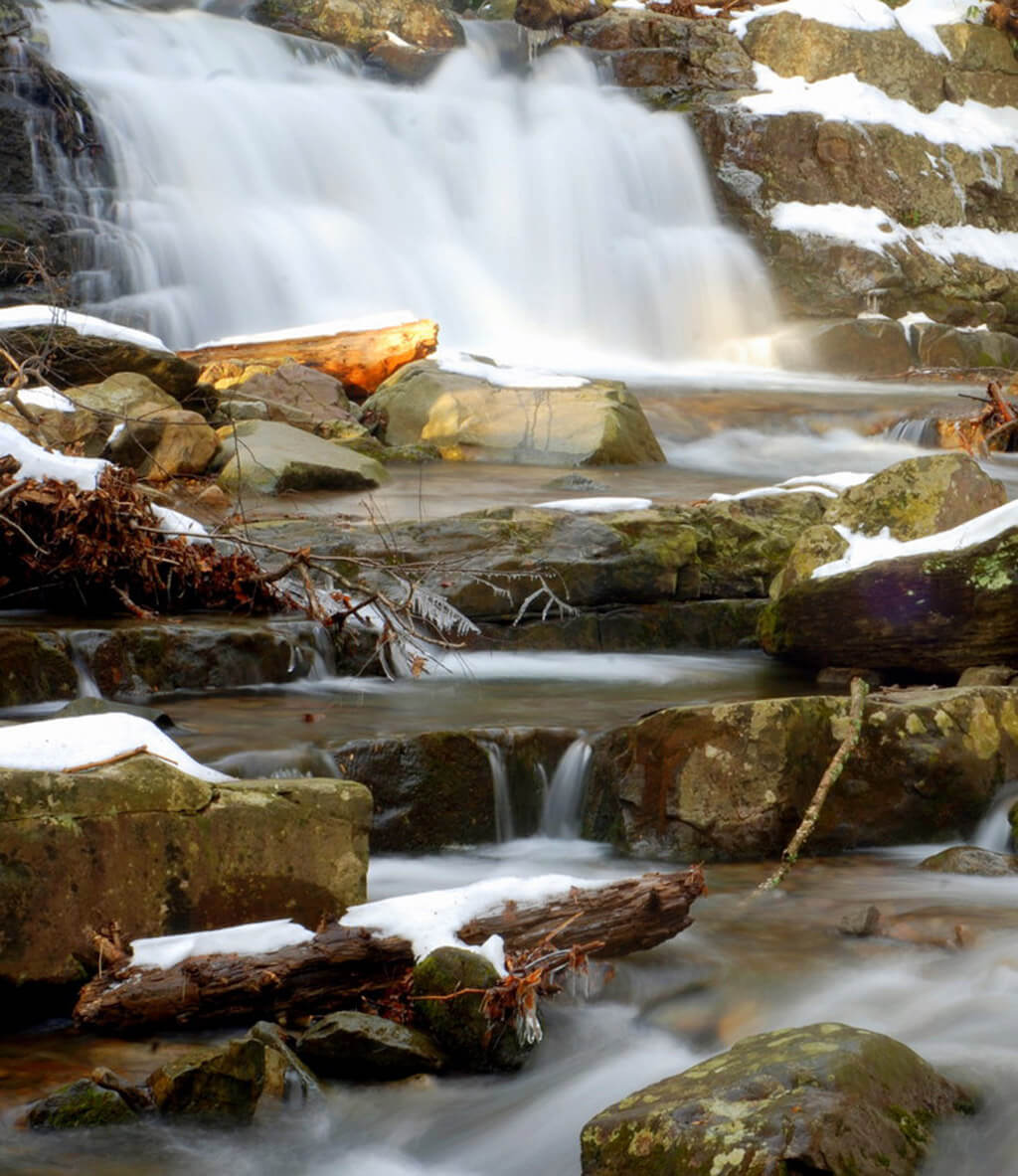 Intern places Newton County 