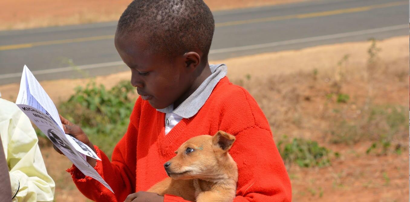 rabies deaths