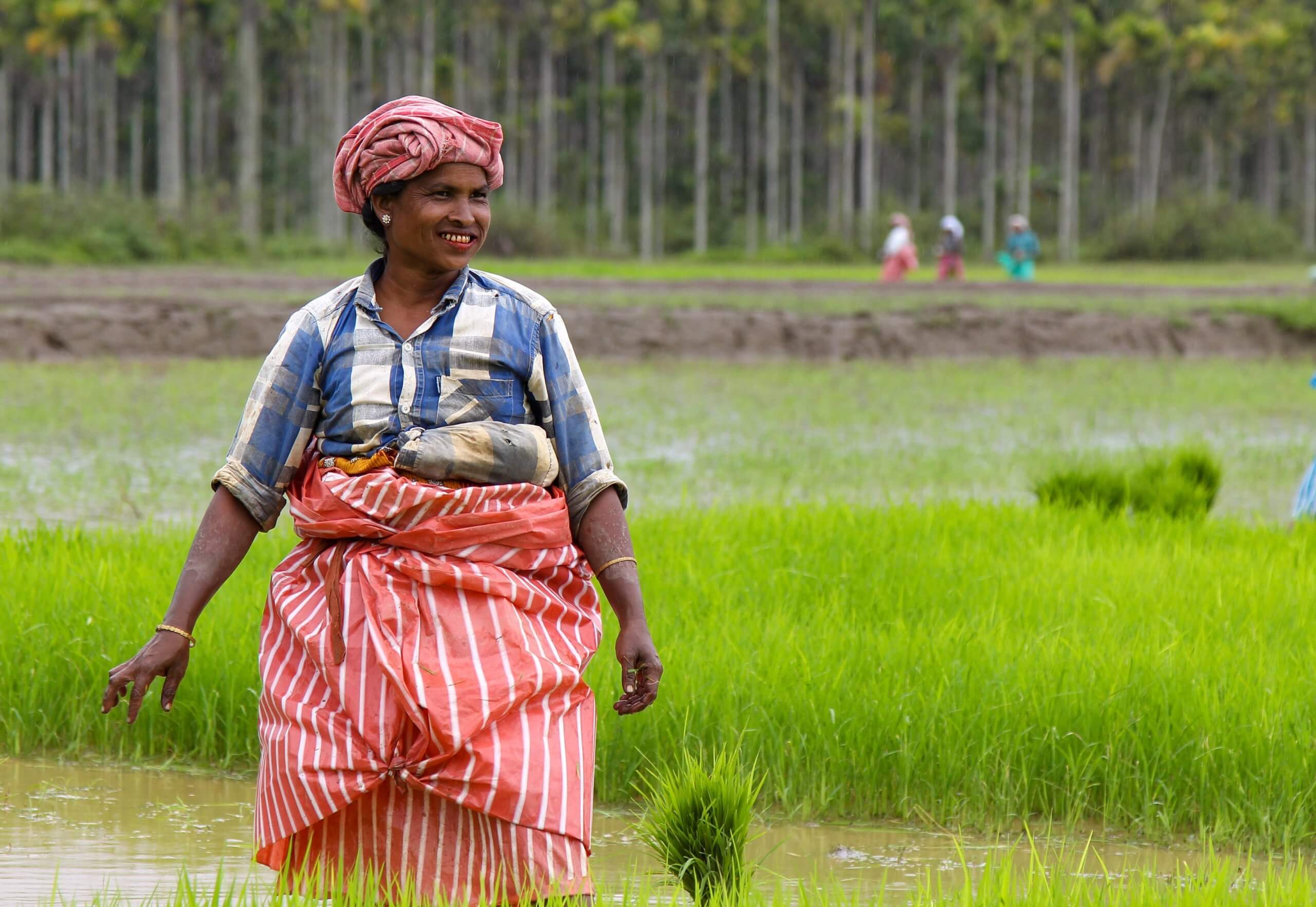 Organic Farms in Himachal