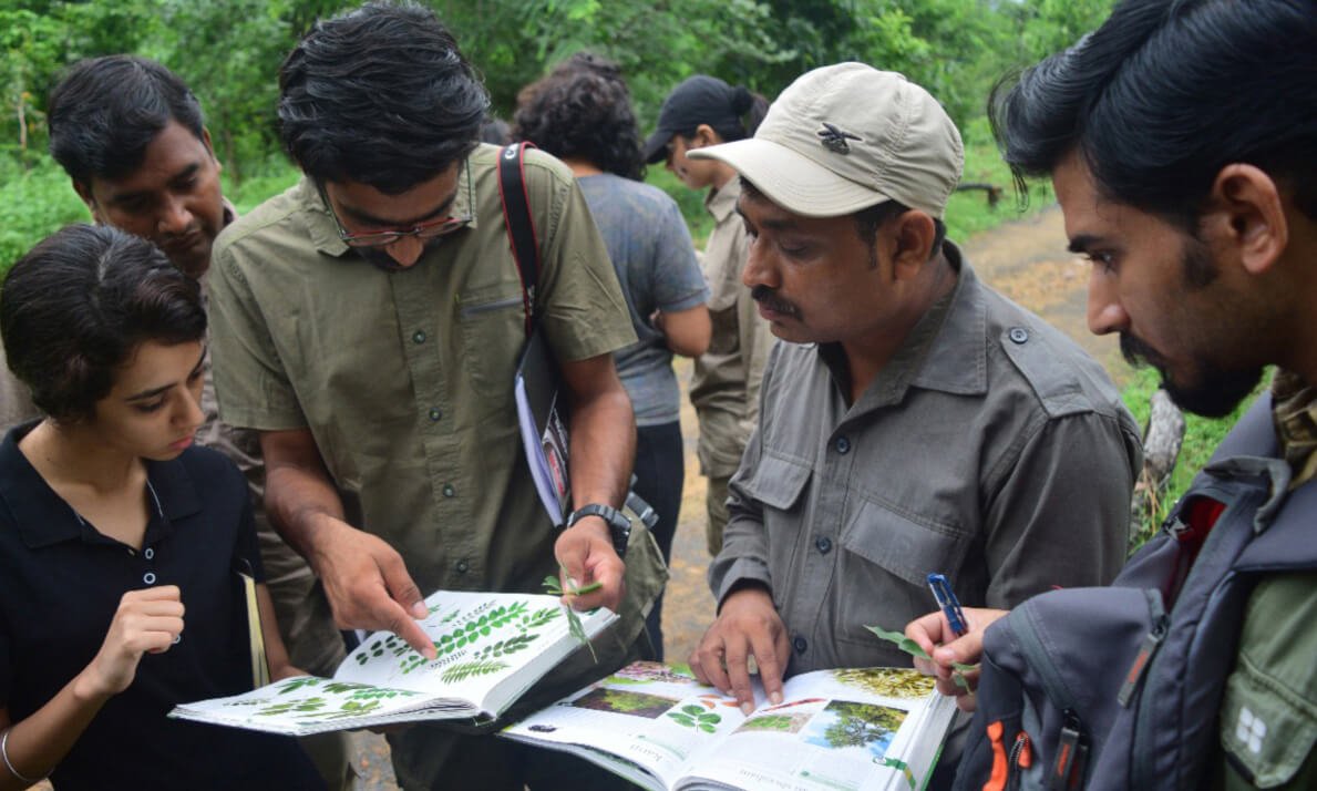 Naturalist