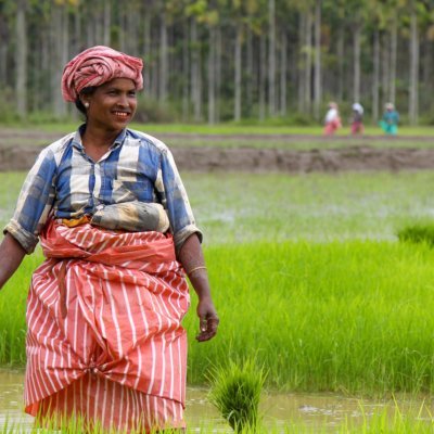 Agricultural Internship Opportunity at Organic Farms in Himachal